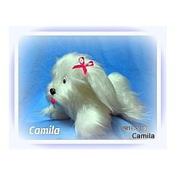 Щенок по имени 