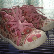 Кеды 25 размер.