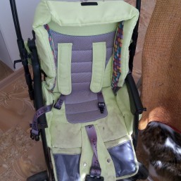 Коляска прогулка Бакуззи