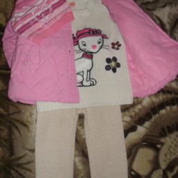 курточка, гамаши, штаны, безрукавка, гольфик комплект