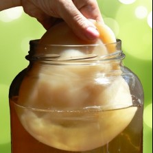 Чайный гриб для повышения иммунитета, от простуды, для похудения