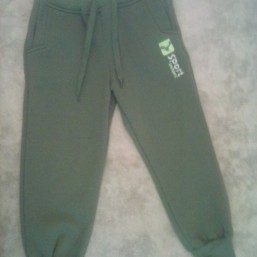 спортивные штаны с начесом