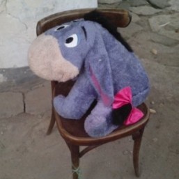 Фирменный большой говорящий ослик!