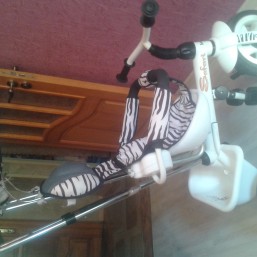 Продам детский трехколёсный велосипед Lexus safari trike зебра