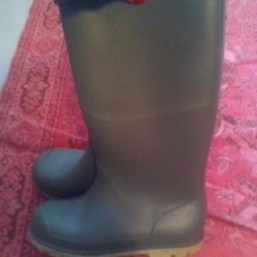 Резиновые сапоги