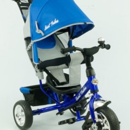 Велосипед Best Trike 6588