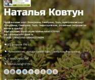 Онлайн — консультация по скапу, телефону, електронной почте.