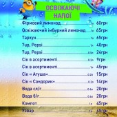 Роллер Центр Ник...