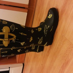 Резиновые сапоги