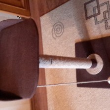 Когтедралка плюс лежак