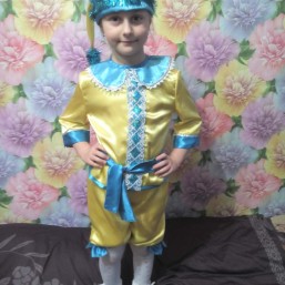 Гномик на прокат