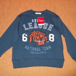 Толстовка теплая с капюшоном (США)