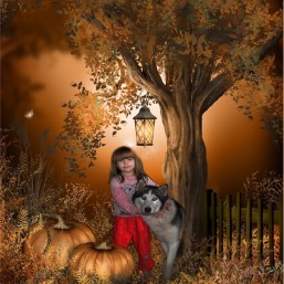 хаски для фотоссесии