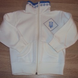 Теплая спортивная кофта 