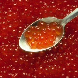 Красная Икра
