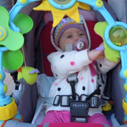 Дуга для коляски