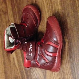 Ботинки демисезонные