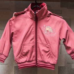 Ветровка на 2 года