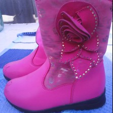 Демисезонные сапожки.