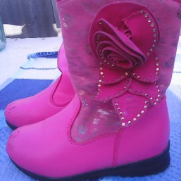 Демисезонные сапожки.