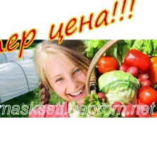 парник акция! минимтеплица