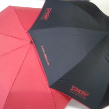 Зонт от Цептер unisex