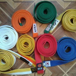 Пояс единоборств