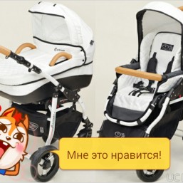 Коляска Dada Carino