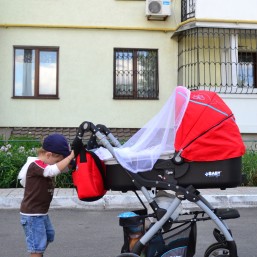 Коляска  Baby Design