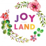 Детский батутный парк празднования дней рождений JOY LAND NIKOLAEV