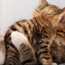 Ночная няня.15 грн/ч. Предлагаю услуги на своей территории.