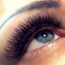 Ищем срочно модель на 2D 