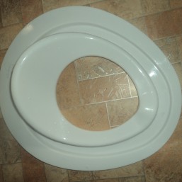 Обод на унитаз