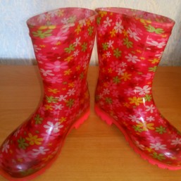 Резиновые сапоги на девочку