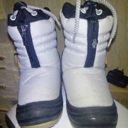 Сапожки Демар