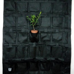 фитостена фитомодуль