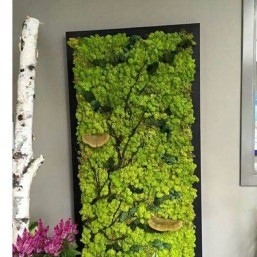 Фитокартины. Картины из живых цветов