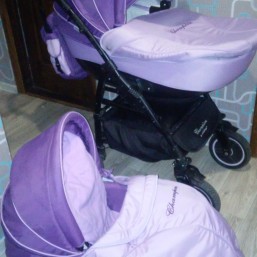 Детская коляска 2в1 Adamex Champion