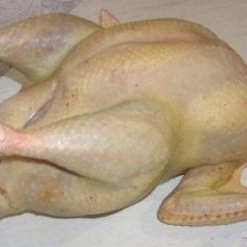 Домашняя индейка