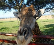 Туристический блог