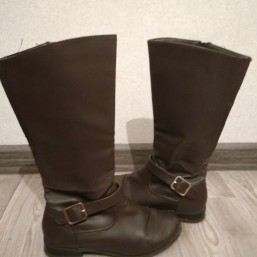 Демисезонные сапоги 36р.