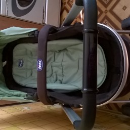 Коляска Сhicco