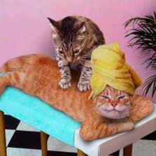 услуги массажиста недорого