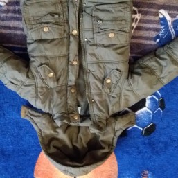 Карточка деми