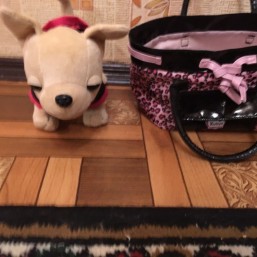 Собачка в сумочке 