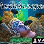 Магазин Аквагалерея