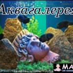Магазин Аквагалерея