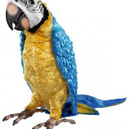 Интерактивный попугай Кеша Hasbro (США) ПРОКАТ БЕЗ ЗАЛОГА