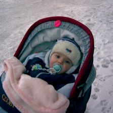 коляска джоби