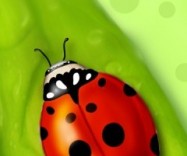 puziki-karapuziki.com.ua